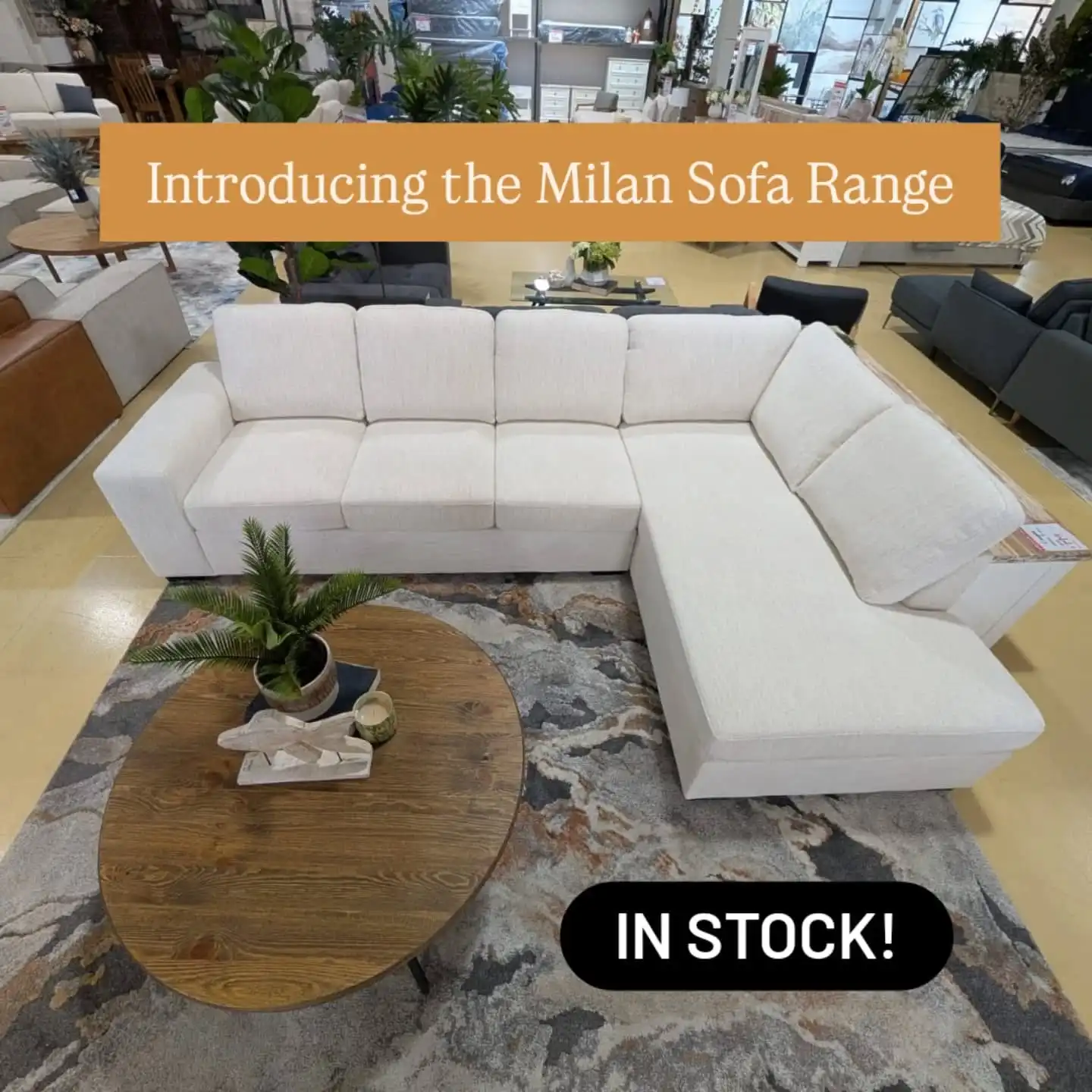 ✨ Neutral, Natural, and Totally Versatile 
Meet your new favourite lounge — Milan. featuring soft textured beige upholstery, deep seating, and clean modern lines. Available as a chaise, sofa bed, or 2+3 seater combo, this design blends seamlessly with any space.
ALL IN STOCK. READY FOR PICK UP AND DELIVERY!

🛋️ Style it coastal with rattan and ocean hues
🌿 Make it modern with black accents and greenery
🏡 Keep it classic with warm timbers and neutral décor

Comfort that fits your lifestyle — and your lounge room.
📍 Try it in store at 131 King St Warrawong or online at selfless.com.au

Chaise Sofa $1299
Chaise Sofa Bed $1699
3 Seater $899
2 Seater $799
3+2 Suite $1499 SAVE $100!

✅ OPEN MON - SAT 9-5
✅ 131 KING ST. WARRAWONG.NSW
📞 02 42442581
🌐 https://selfless.com.au/
🇦🇺 Illawarra family owned business 15years+
💲 Awesome Value!

#furnituresale #discountfurniture #selfless
 #selflessoutlet #furnitureclearance #illawarrafurniture #selflessfurniture #warrawong 
#SelflessStyle #LoungeGoals #InteriorInspo #IllawarraHomes #ModularLounge #NeutralInteriors