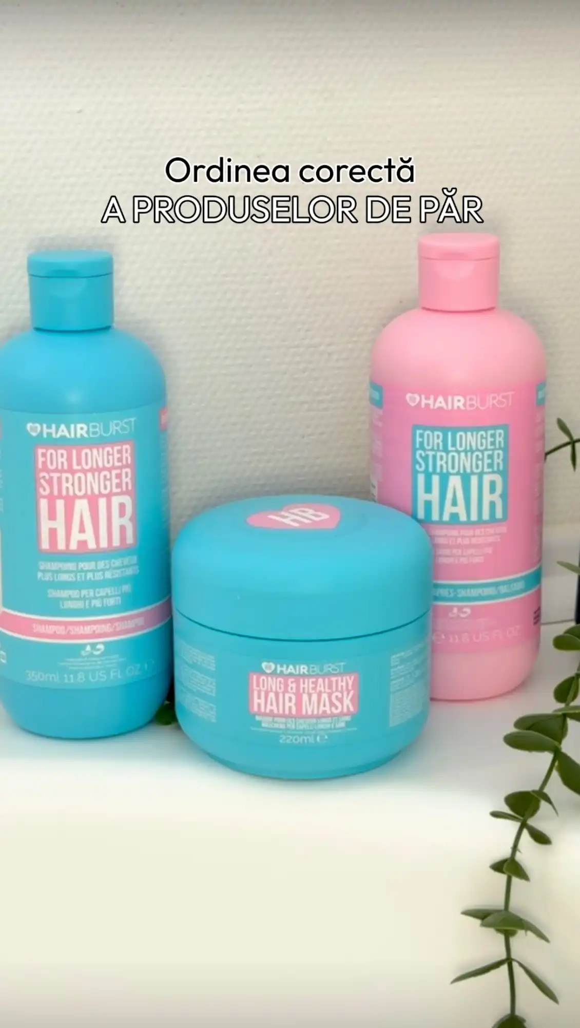 💇‍♀️ Mit busted!
Balsamul NU se folosește înaintea măștii! Ordinea corectă este: șampon → mască → balsam.

🧴 De ce? Pentru că șamponul deschide cuticula firului de păr, masca pătrunde în profunzime și repară fibra capilară, iar balsamul o sigilează, menținând hidratarea și nutrienții acolo unde trebuie.

Cu gama Hairburst pentru fortifiere și creștere, rutina devine și mai simplă: șamponul curăță și fortifică, masca repară fibra capilară, iar balsamul lasă părul neted, strălucitor și rezistent. 💙

🛍️ Găsești produsele Hairburst în Bebe Tei, Farmacia Tei, Dr. Max, Springfarma și pe tuju.ro

#ingrijirepar #hairroutine #haircare #hairburst #sampon #balsam #mascapar #Tuju #BeautyThatCares #romania #mitsauadevar