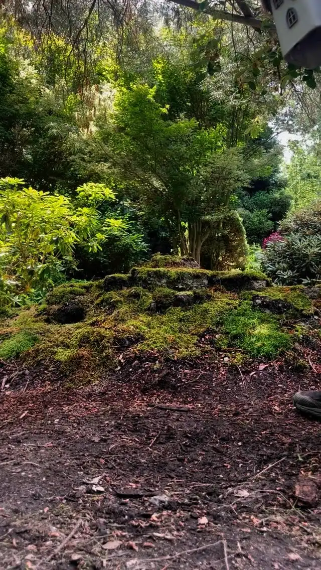 I extended the Hobbit Village I made the other day. For the base, I use rocks, covered them with soil and moss, and placed the clay houses on top. Here’s the process 😊

#fairyland #HobbitVillage #MiniatureWorld #TheFairyStay #FairyHouseDIY #FairyGardenIdeas #DIYMiniatures #WhimsicalCrafts #NatureInspired #creativeprocess