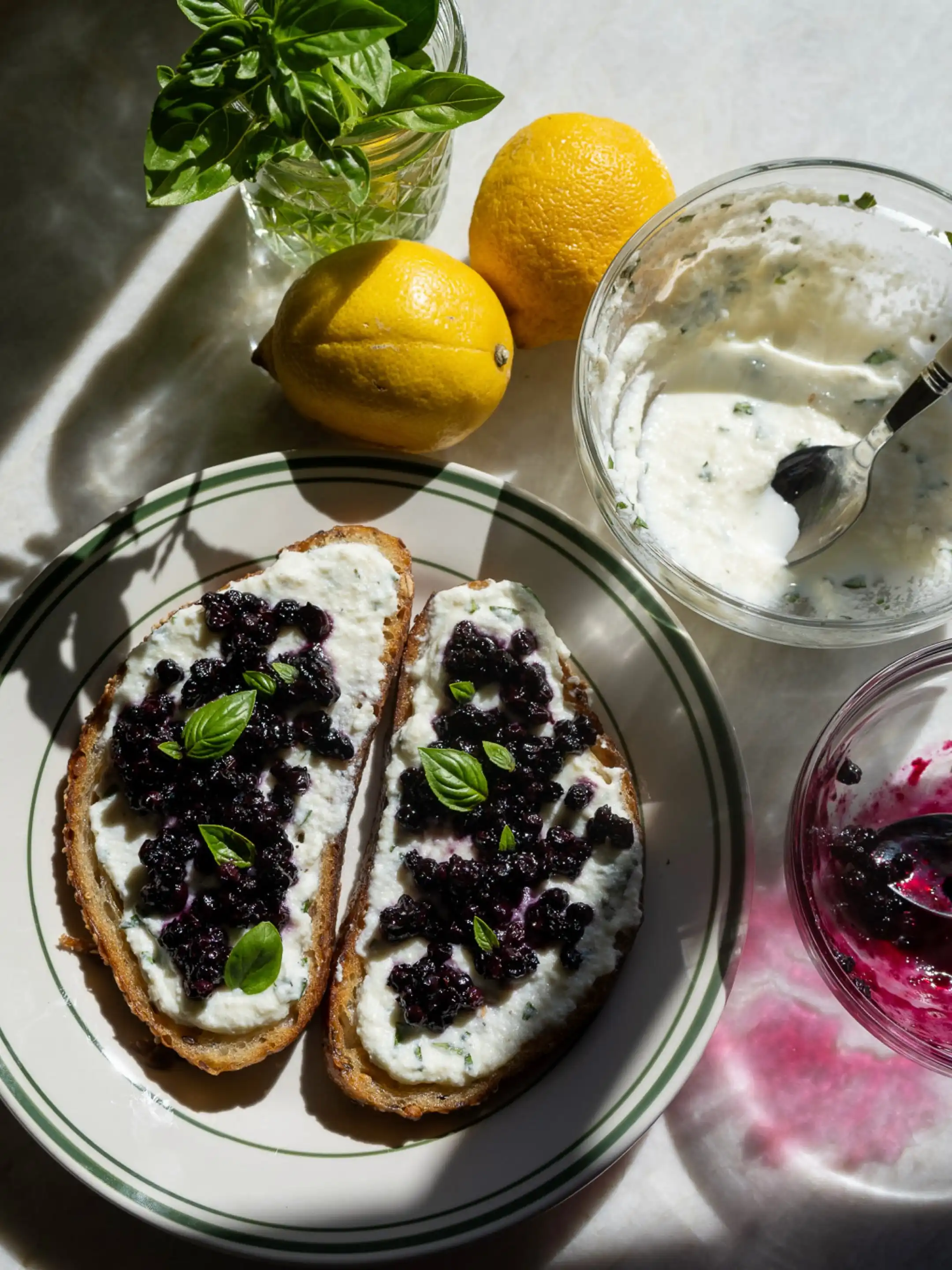 Organic Wild Blueberry Jelly – Josh Pond