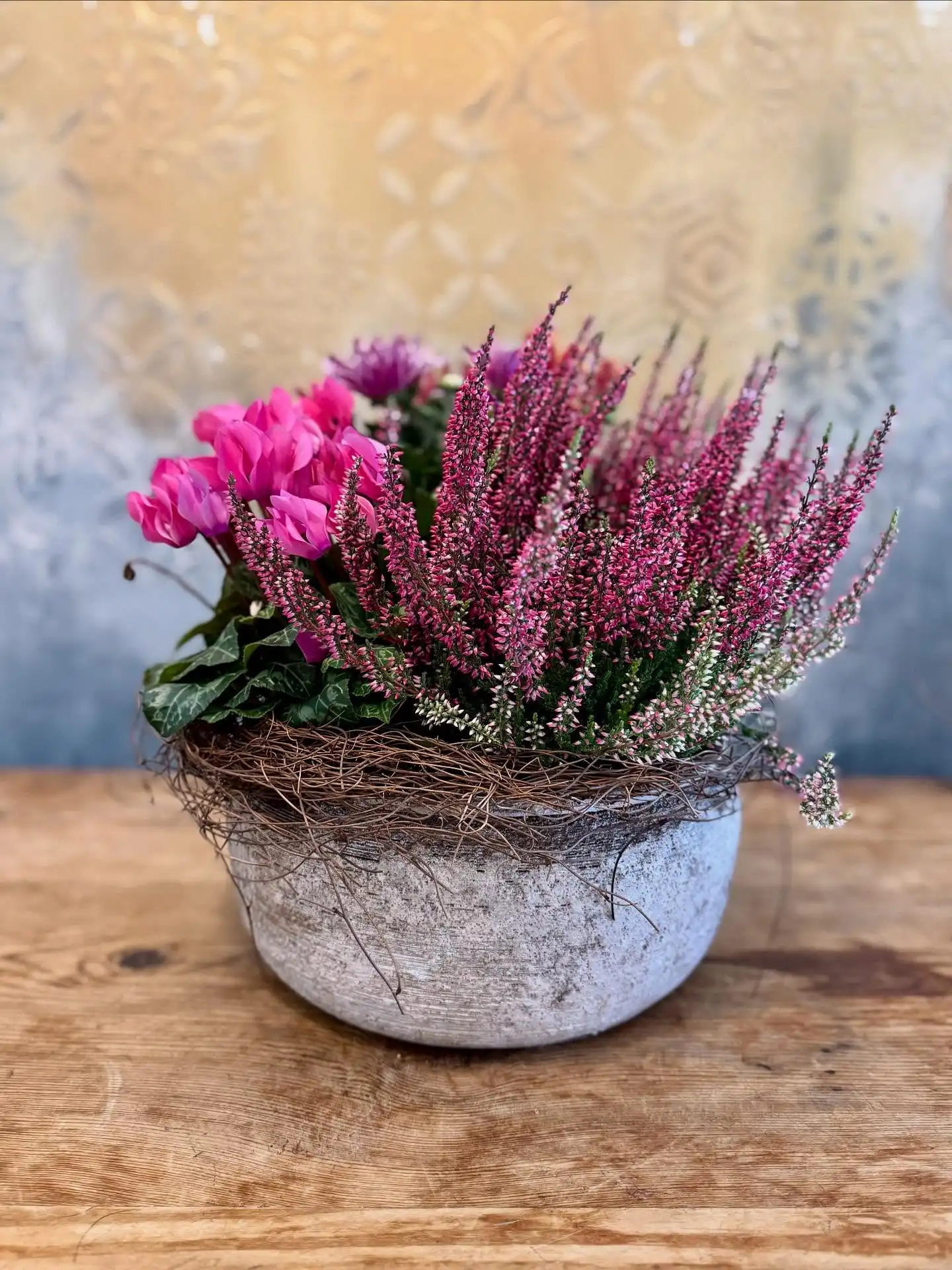 The perfect long lasting planted gift for when cut blooms are not an option. Adds a bit of colour to anyone’s home. Love this new product from our 2025 Autumn collection.
Blooming Amazing Flower Company
Gold Award Winner - Flower Shop of The Year
38 Ranelagh Village
Dublin 6
D06 E4H3
Ireland
Tel : + 353-1-491 0233
Web : www.bloomingamazing.ie
Email : info@bloomingamazing.ie
.
.
.
#bloomsoftheday #smallbusiness #floristsofinstagram #floraldesigns