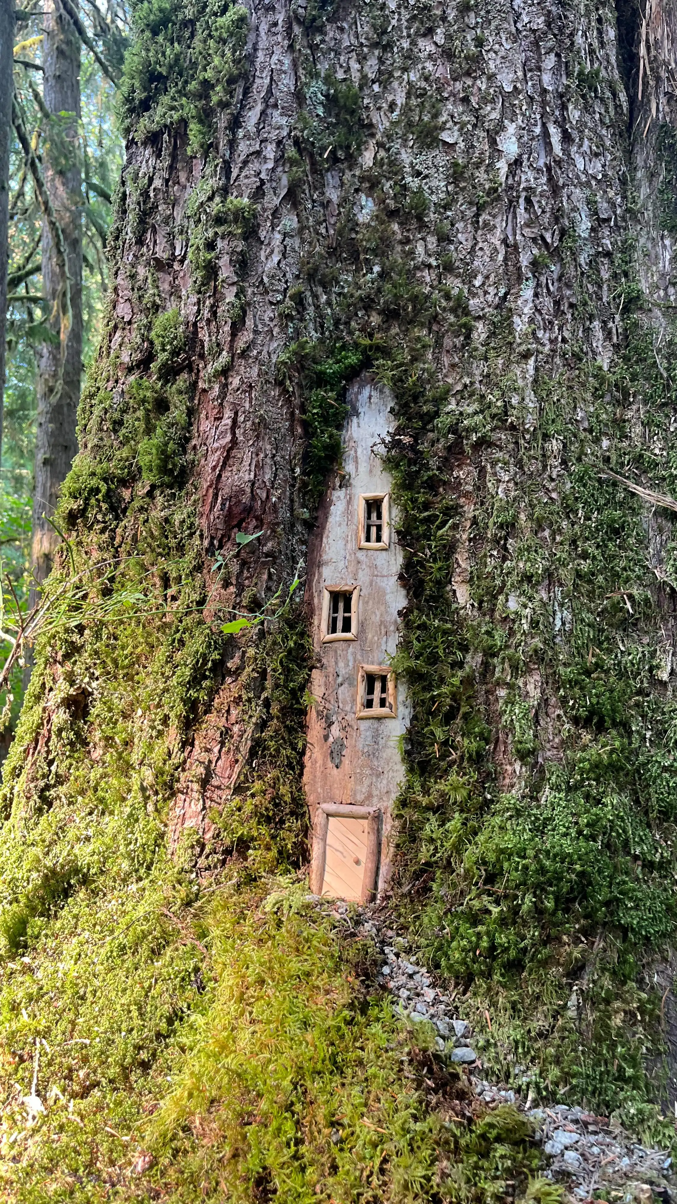 Back to the roots 😊
When I first started making fairy houses, I worked mostly with natural materials - bark, twigs, hide glue, a bit of handmade clay, and of course, soft moss. 🌿 This week I went back to that style, and it felt a little like returning home.

Do you like this more natural look for fairy houses, or the more detailed kits I create now? I’d love to hear your thoughts. 💭

#fairyland #backtotheroots #fairyhouse #miniaturemagic #handmadefairyhouse #fairygarden #naturalcraft #forestmagic #mossyfairyhouse #tinyhouseart #naturalfairyhouse #allnaturalfairyhouse #naturecraft #forestcraft @titebondproducts