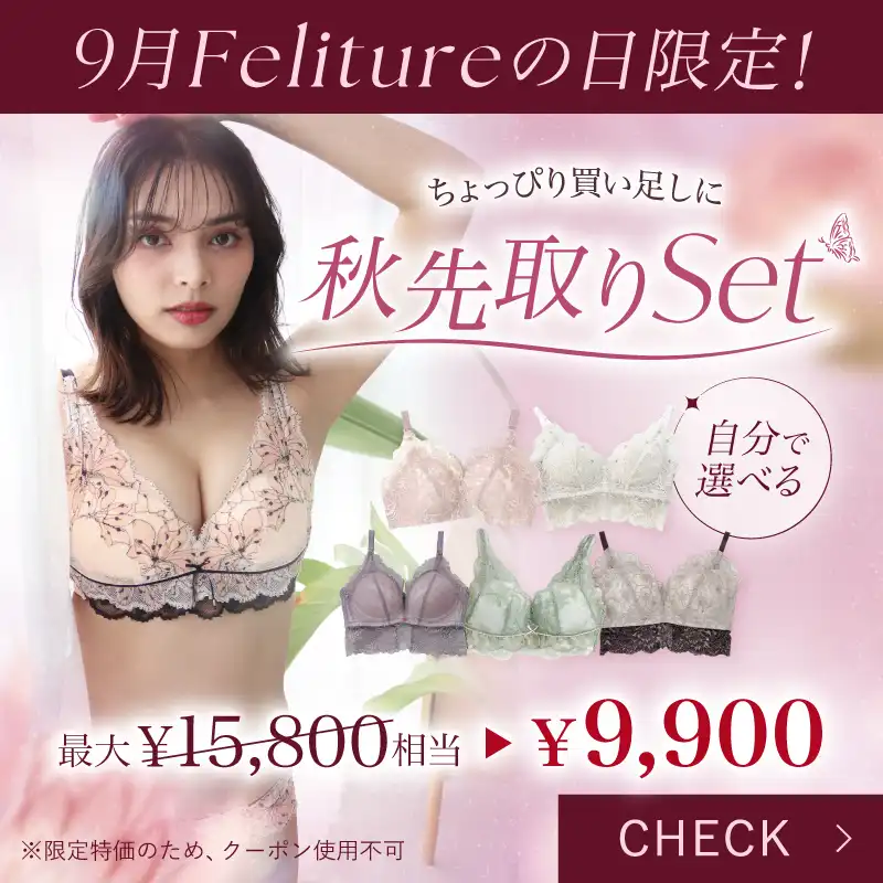 未使用ブラジャーショーツ5セット（Feliture） ブラ＆ショーツセット – Feliture