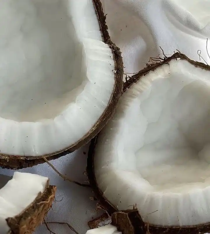 Your glow, powered by nature 🥥🥕
From carrot extract to coconut oil, every drop of Carroten is packed with ingredients your skin loves 💛