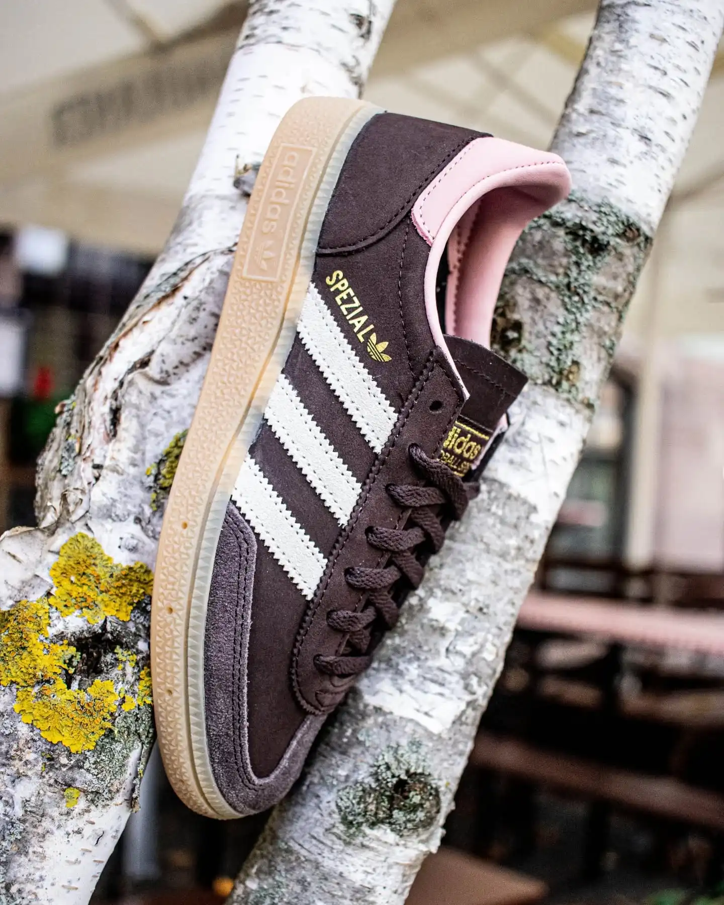 Retro-Vibes mit modernem Twist. 🤎✨
Die @adidasoriginals Handball Spezial W JR0852 bringt echten Vintage-Charme in deinen Look – mit ihrem Mix aus Braun, Creme, Rosa und klassischer Gum-Sohle.
Ein Sneaker, der Style, Komfort und Heritage perfekt vereint – egal ob auf der Straße oder im Alltag. 👟

Shop now: www.brooklyn-shop.de

#adidas #adidasoriginals #handballspezial #retrostyle #vintagelook #sneakerlove #streetwearvibes #adidasheritage #gumsole #sneakergram #freshfit #brooklyn_shop #classicvibes #adidaswoman #trendystyle #everydayfit