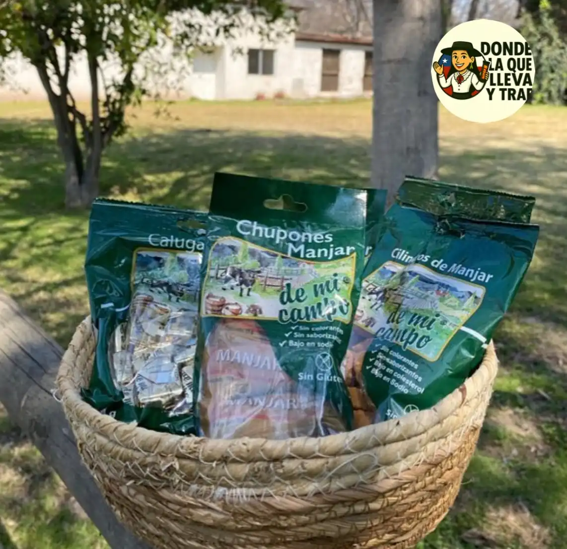 🥛🍬 ¡Mix Clásico Chileno disponible en USA! 🇨🇱
Endulza tus recuerdos con los sabores más ricos del campo chileno 😍
De mi Campo trae para ti:

✅ Chupetes de manjar
✅ Calugas de leche y nuez
✅ Delicias de manjar con coco

Sin colorantes, sin saborizantes, sin gluten y con ese sabor que te transporta directo al sur de Chile 🐄🌾

📦 ¡Stock limitado!
Haz tu pedido hoy y lleva contigo un pedacito de lo más dulce del campo chileno ❤️
👉 Disponible en nuestra tienda online
www.dondelaquellevaytrae.com 
📍 Envíos a todo Estados Unidos 🇺🇸y el mundo 🌍