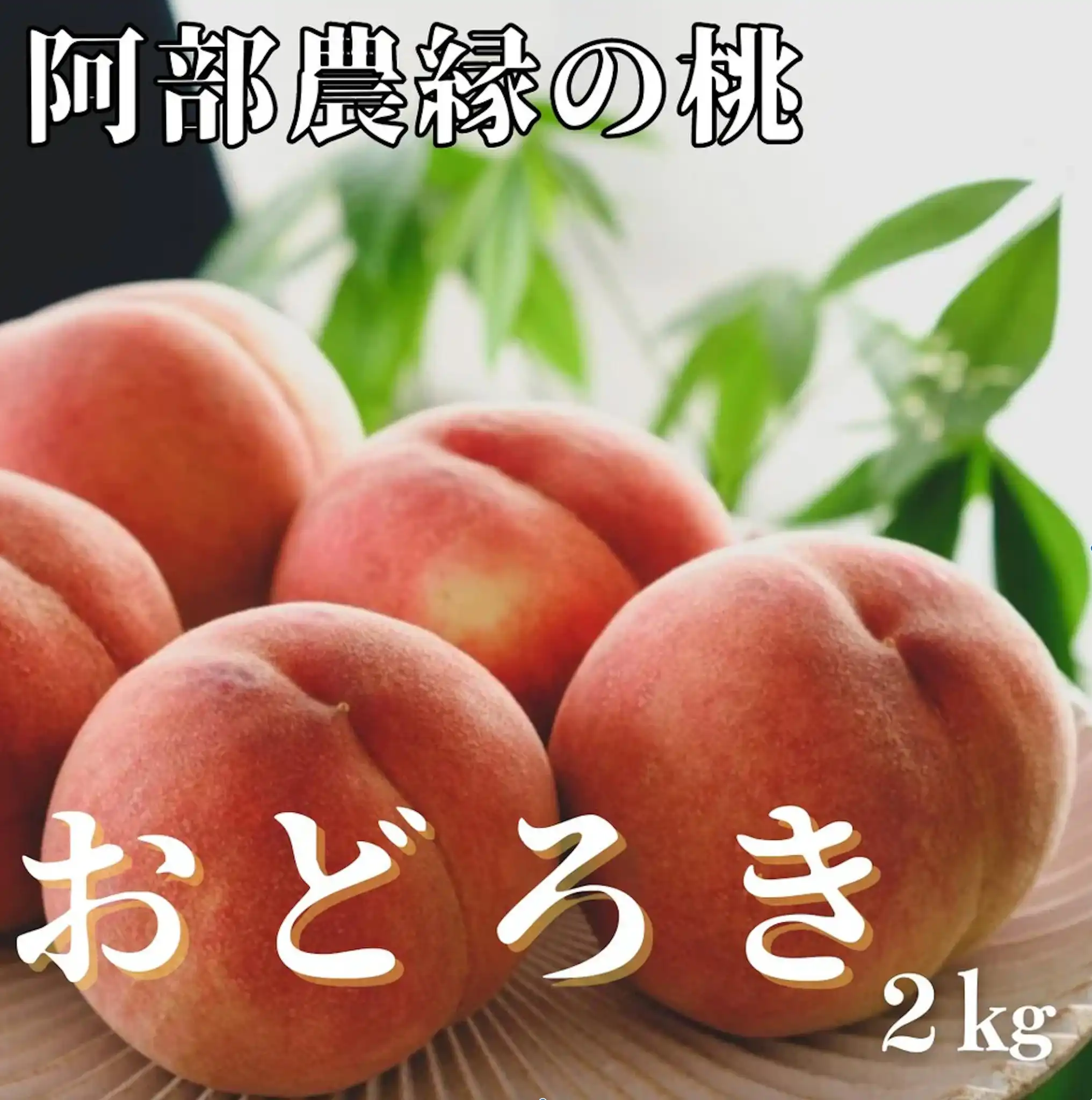 名前の通り、食べたらビックリ!?
【新登場】カリカリ桃「おどろき」🍑
まるで柿やりんご!?
硬い桃好きさん必見の異色桃!
✔カリッと食感
✔日持ち◎
✔爽やかな甘さ
熟しても柔らかくならない“おどろき”は、
やわらか甘~い桃とは真逆の道を突き進む個性派な桃なんです😆
一度食べたらクセになる、唯一無二のカリカリ食感をぜひ🍑✨
\限定50箱/福島・阿部農縁から産直!
🍑2kg(約6~8玉)
#おどろき桃 #カリカリ桃 #阿部農縁 #福島の桃
https://fukushima-ichiba.com/products/n148a10