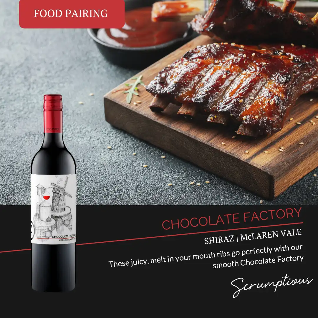 Chocolate Factory McLaren Vale Shiraz 2022 – Zonte's Footstep