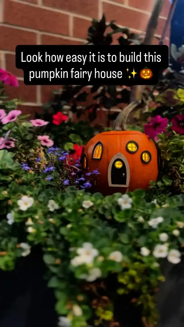 A very simple Pumpkin Fairy House idea for you 😊
All you need is a pumpkin, small fairy doors & windows, a light, and a little magic!
I hollowed out a tiny pumpkin, cut holes for fairy doors and windows, and placed a light inside - that’s it! 🕯️🎃 The easiest fairy pumpkin house ever.

Find the mini doors and windows at marysfairyland.com and create your own little wonder. 🌟

#fairyland #fairypumpkinhouse #pumpkinfairyhouse #fallcraft #diyfairyhouse #fairygarden #pumpkincrafts #fairydoors #autumnmagic #marysfairyland #fairyhousediy #pumpkindecor #pumpkinseason #diyfalldecor #easypumpkincrafts