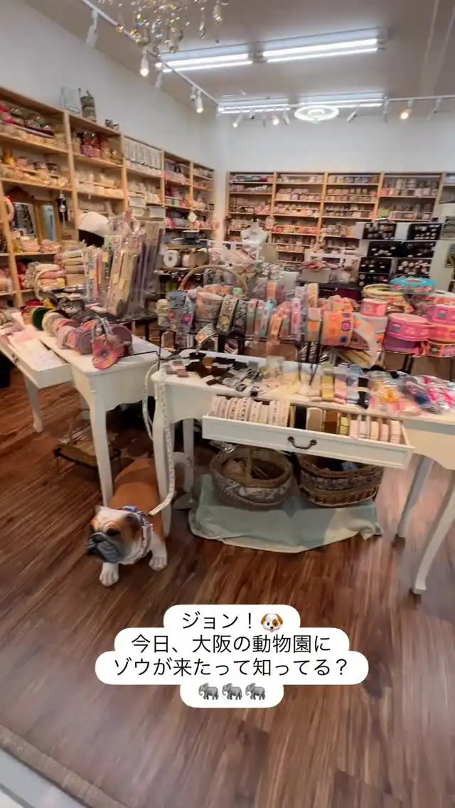インド刺繍リボン3000種類以上 | 心が躍る刺繍リボン屋（実店舗&通販