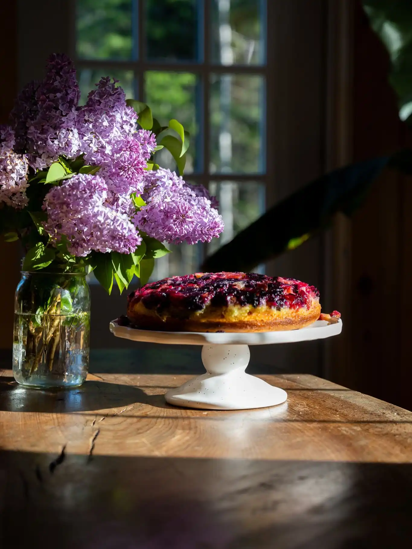 Organic Wild Blueberry Jam – Josh Pond