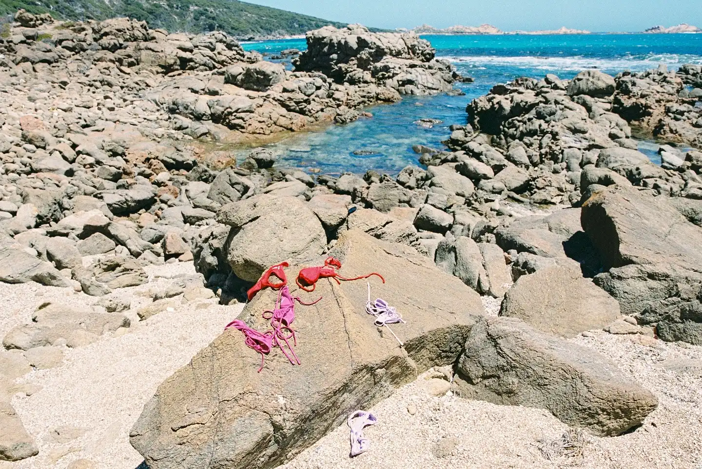Postcards from Rottnest Island, WA.💌