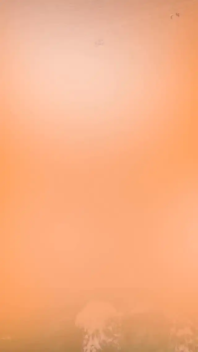 ☀️ Protecție solară inteligentă de la BioBalance!

🧡 Formule inovatoare cu filtre sigure, fără nano sau dioxid de titan.
💧 Ușoare, eficiente și potrivite chiar și pentru pielea sensibilă.
🧴 Alege-ți SPF-ul preferat din gama BioBalance SUN și bucură-te de soare în siguranță!

@biobalanceofficial 

#biobalance #biobalancesun #spf50 #protectiesolara #farairitatii #pielesanatoasa #veganbeauty #sunprotection #backtonature #spfobligatoriu #skincareromania
