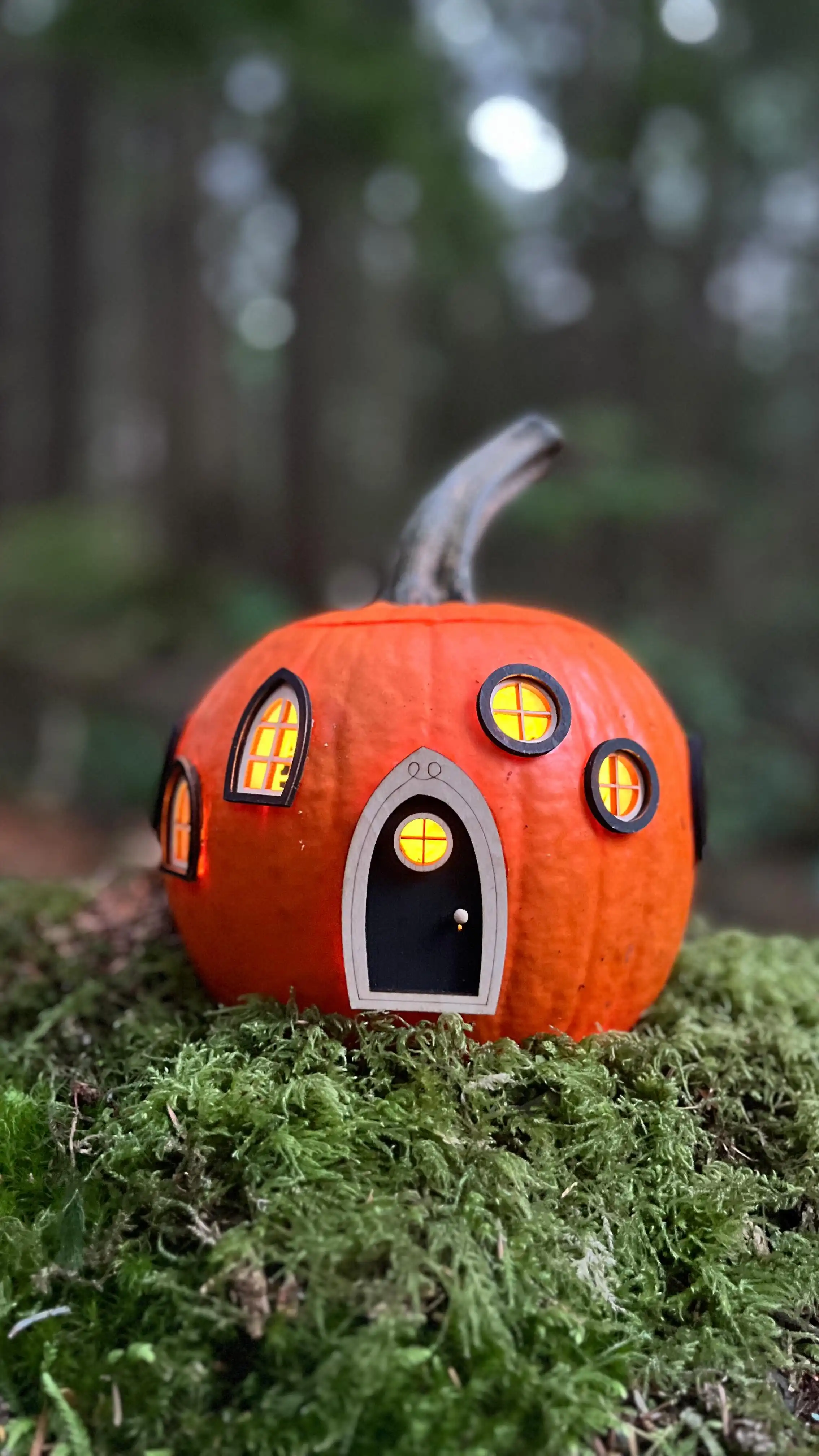 A very simple Pumpkin Fairy House idea for you 😊
All you need is a pumpkin, small fairy doors & windows, a light, and a little magic!
I hollowed out a tiny pumpkin, cut holes for fairy doors and windows, and placed a light inside - that’s it! 🕯️🎃 The easiest fairy pumpkin house ever.

Find the mini doors and windows at marysfairyland.com and create your own little wonder. 🌟

#fairyland #fairypumpkinhouse #pumpkinfairyhouse #fallcraft #diyfairyhouse #fairygarden #pumpkincrafts #fairydoors #autumnmagic #marysfairyland #fairyhousediy #pumpkindecor #pumpkinseason #diyfalldecor #easypumpkincrafts