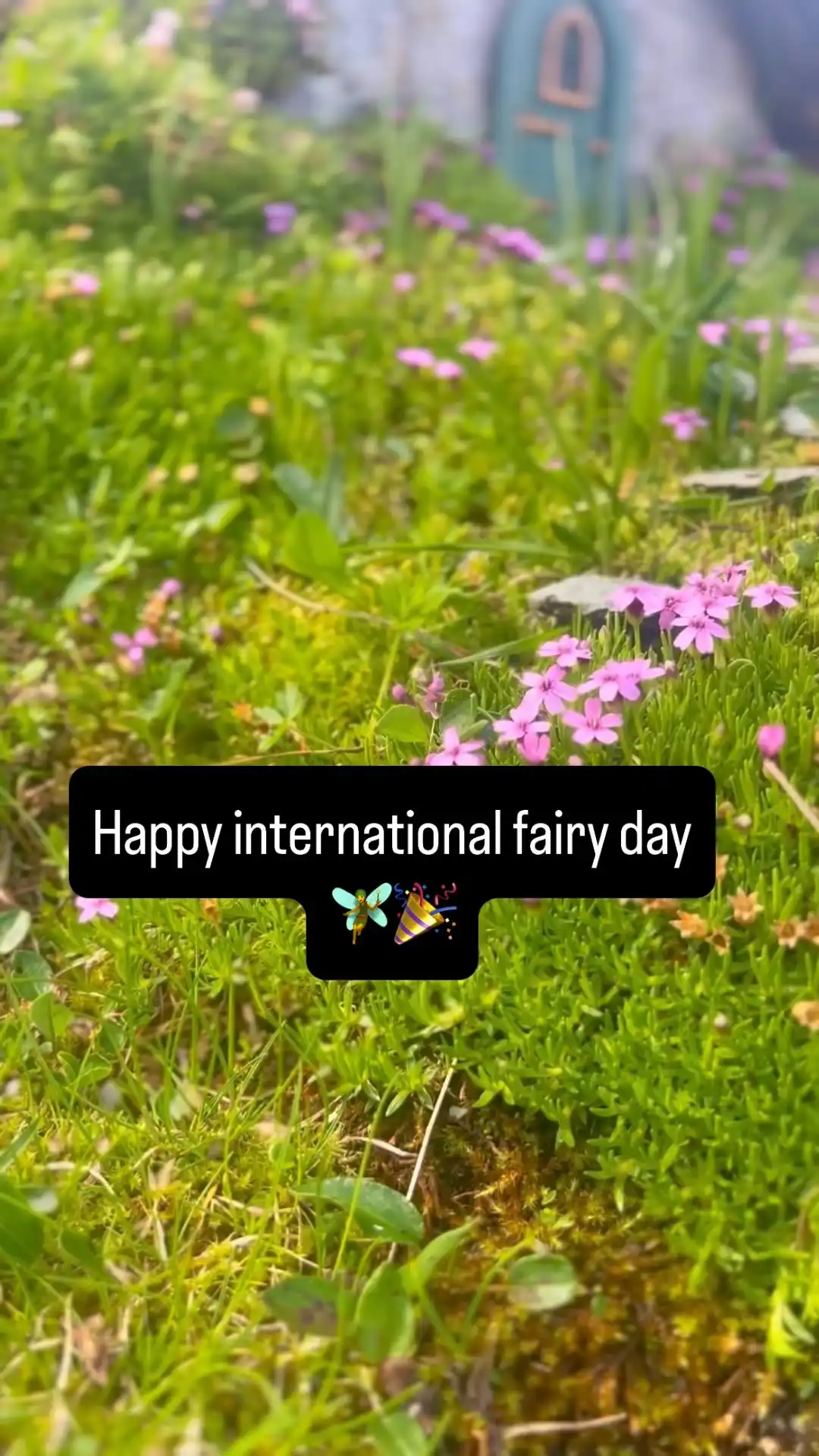 🧚‍♀️ Happy International Fairy Day! 🎉
A perfect day to celebrate magic, creativity and the little wonders hiding in plain sight 🌿✨

#fairyland #internationalfairyday #fairyday #fairygarden #fairyhouse #mossmagic #tinyworlds #whimsicalgarden #maryinthefairyland #fairytradition #thefairystay #enchantedmoments