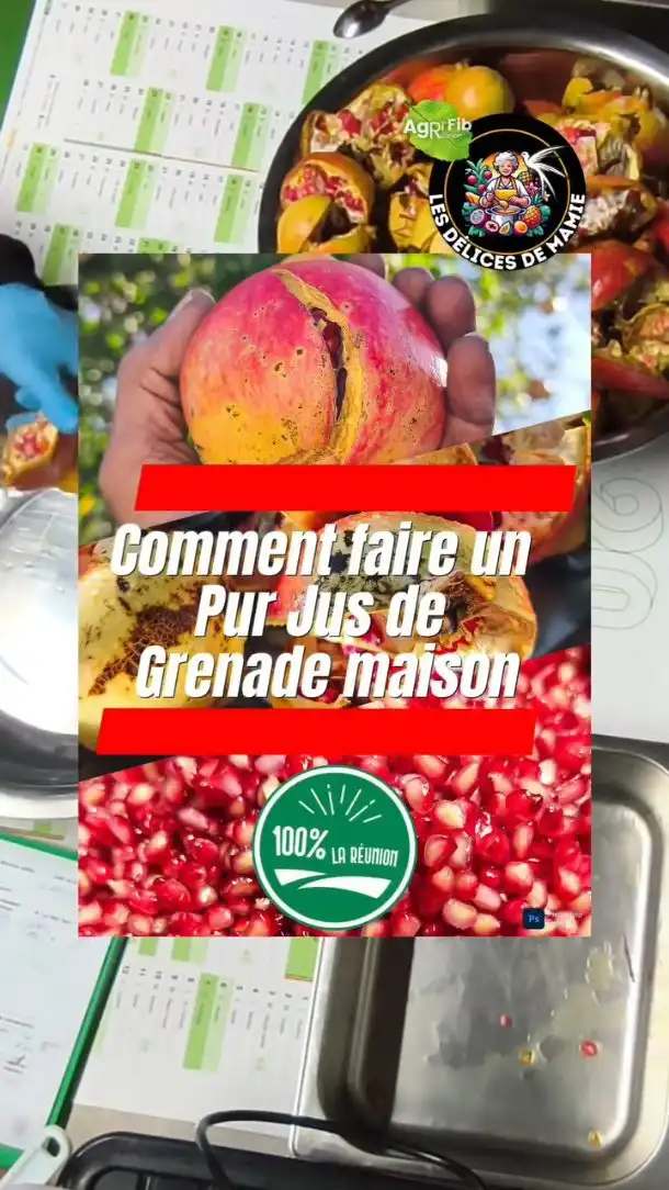 🍹 Pur jus de grenade maison 🍹parti 1....

Un jus naturel, sain et plein de saveurs pour la saison !

1️⃣ Lavez la grenade, coupez le calice et pédoncule.
2️⃣ Égrenez et rincez les graines pour enlever l’amertume.
3️⃣ Extrayez le jus avec un extracteur.
4️⃣ Filtrez finement, puis réfrigérez 1h : le jus rouge vif se sépare de la pulpe rose.

Parti 2 en vidéo : 

5️⃣ Stérilisez vos bouteilles en verre (trempage 15 min dans eau bouillante).
6️⃣ Prélevez la couche limpide rouge à la louche, mettez en bouteille, gardez au frais.

👉 Consommez frais sous 2-3 jours pour le meilleur goût et les nutriments !

Likez, partagez et suivez-nous pour plus de recettes maison !