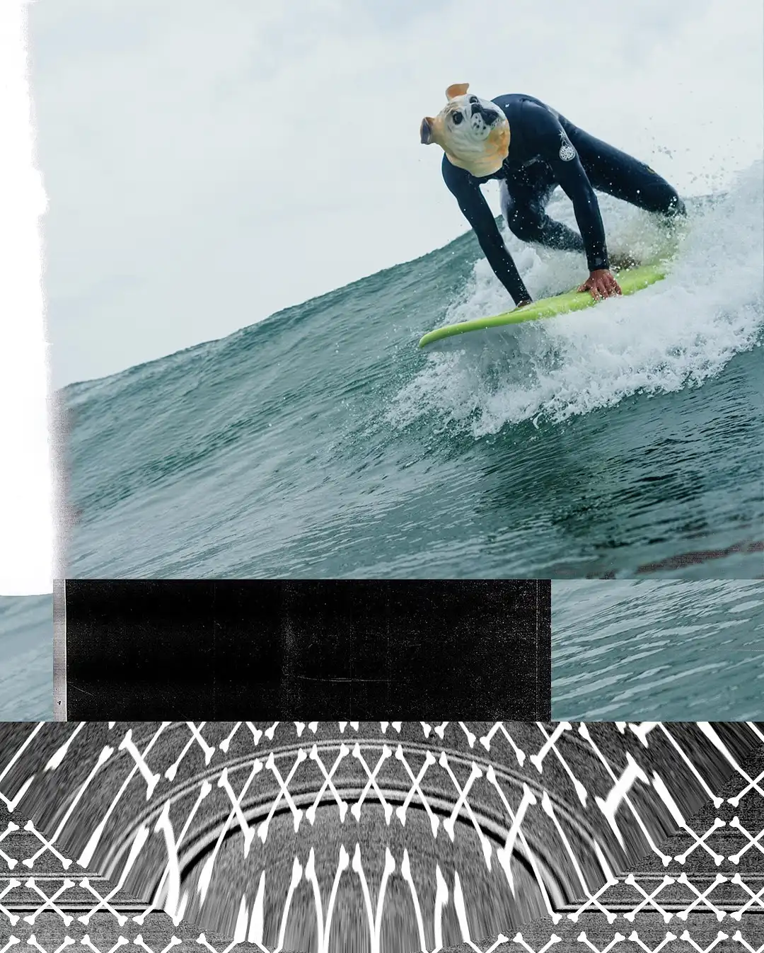 A surf a day keeps the dog at play. 🦴