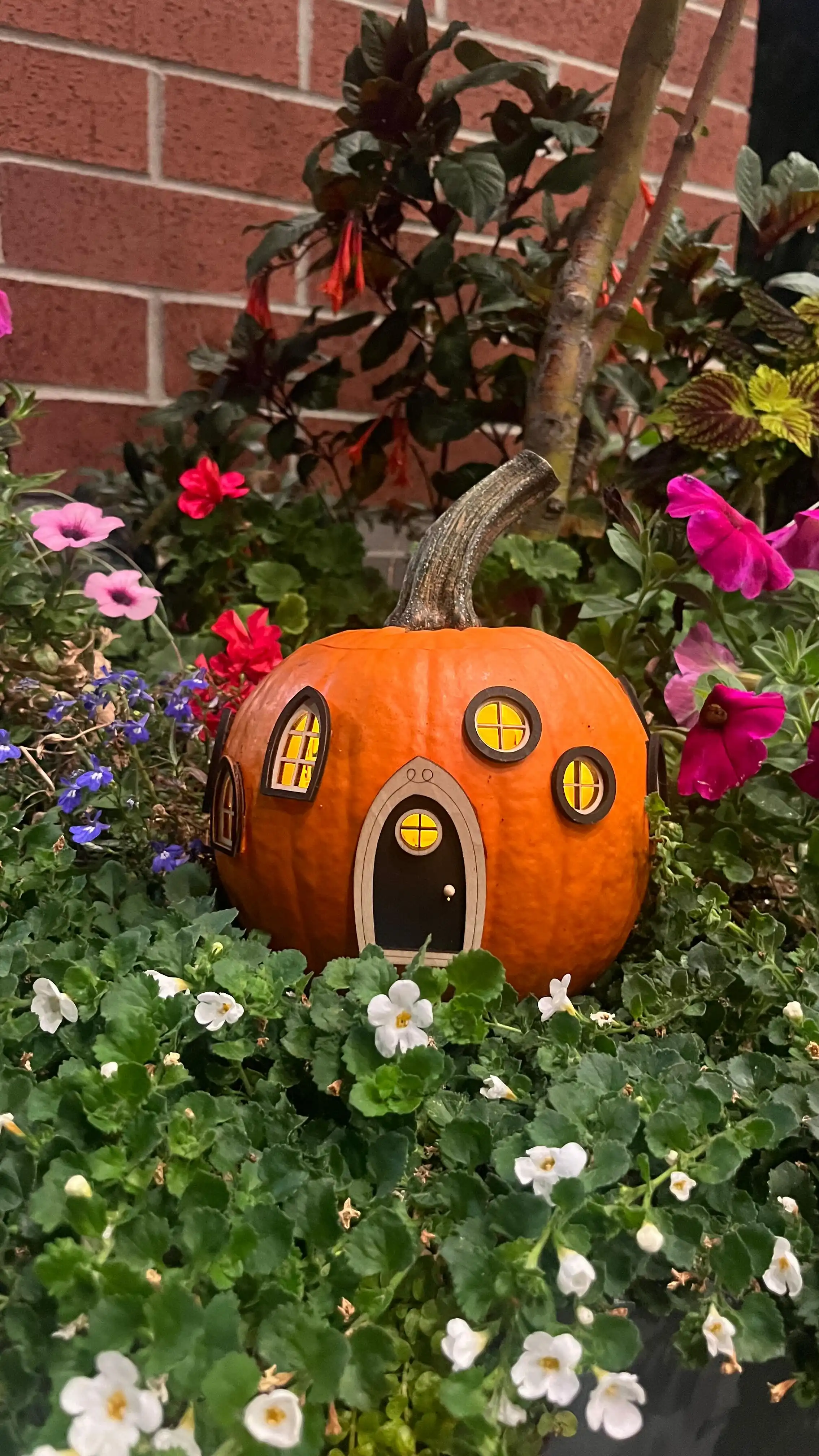 A very simple Pumpkin Fairy House idea for you 😊
All you need is a pumpkin, small fairy doors & windows, a light, and a little magic!
I hollowed out a tiny pumpkin, cut holes for fairy doors and windows, and placed a light inside - that’s it! 🕯️🎃 The easiest fairy pumpkin house ever.

Find the mini doors and windows at marysfairyland.com and create your own little wonder. 🌟

#fairyland #fairypumpkinhouse #pumpkinfairyhouse #fallcraft #diyfairyhouse #fairygarden #pumpkincrafts #fairydoors #autumnmagic #marysfairyland #fairyhousediy #pumpkindecor #pumpkinseason #diyfalldecor #easypumpkincraft