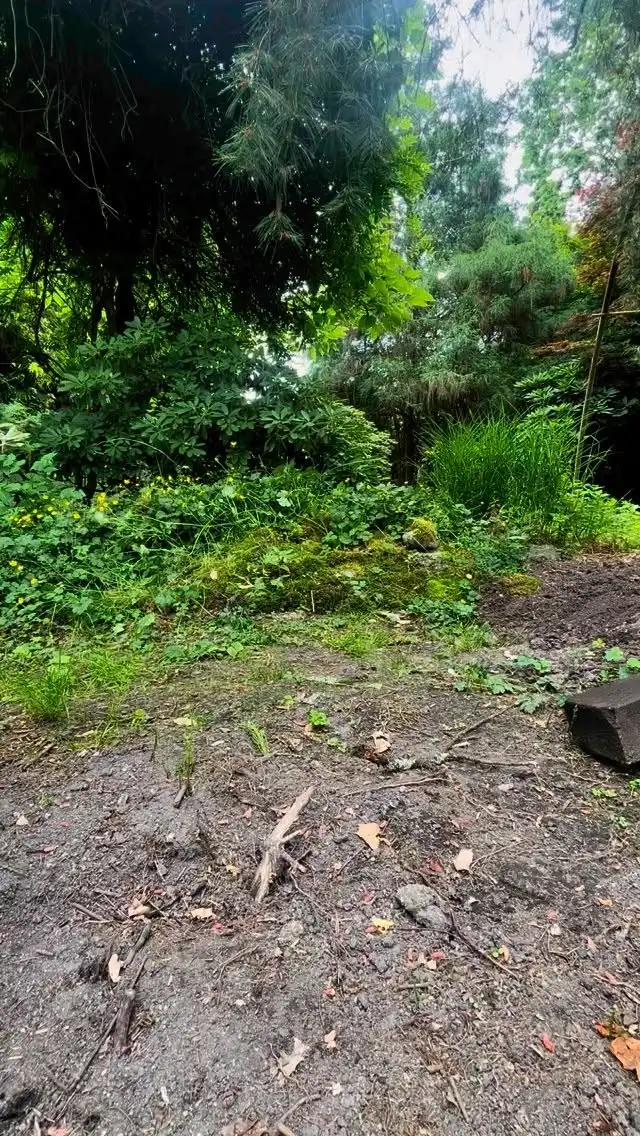 Here’s a short video of how I built the hobbit fairy village 😊

First, I created the fairy houses at home using recycled glass bowls, polymer clay, my own fairy doors and windows, bark, and a few wooden dowels.

Then I went to the park, built a little hill out of soil, topped it with mulch, and carefully buried the fairy houses into it. I installed solar lights so they glow at night, covered everything with moss, and added magical little details to complete the scene. Would you want to know something more? 🤔

In case you’d like to build your own fairy house or village, you’ll find tips and materials on my website: marysfairyland.com

#fairyland #fairyinstallation #diyfairyhouse #whimsicalgarden #miniaturegarden #gardenmagic #mossmagic #enchantedgarden #fairyvillage #fairyhouseproject #maryinthefairyland #creativegardening #fairydoor #fairywindows #tinyhomes #magicalmoments #fairybuild