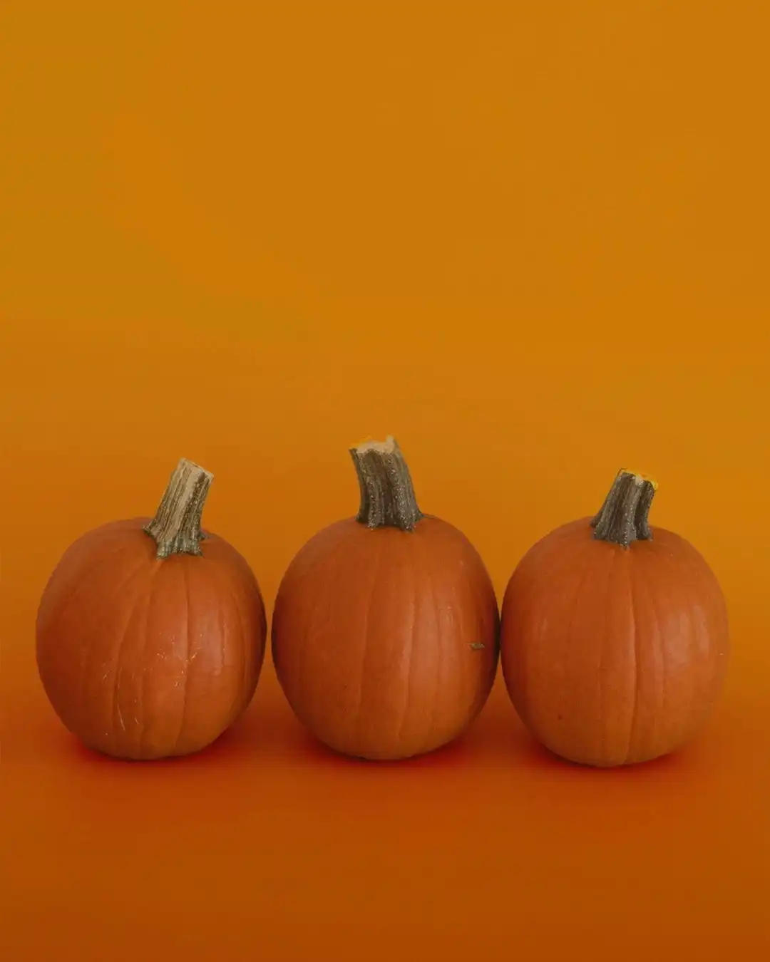 Oh my gourd! Qunol is having a sale! Shop now and save 25% off purchases of $50+. (Link in bio)

Offer valid through 10/19/25. Visit Qunol.com for 25% off sitewide $35+ purchases. No code necessary. Offer valid on in-stock items only. Discount applies to future purchases of Qunol products on Qunol.com. Not redeemable for cash and not transferable. Cannot be combined with other offers. Shipping charges and taxes may apply. Violating any terms will invalidate the offer. Offer subject to change or termination at any time. Other restrictions may apply.