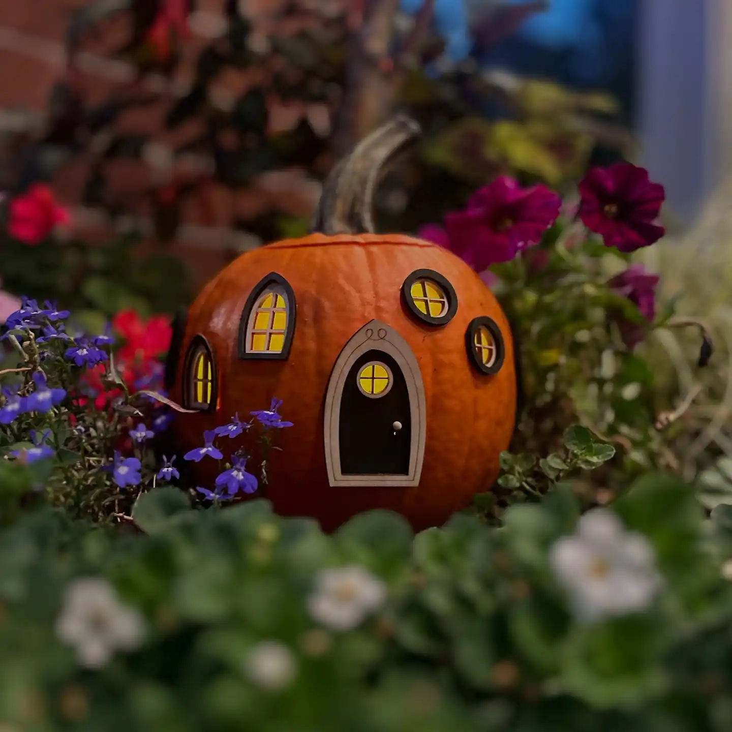 ✨ Pumpkin Fairy Houses ✨
Some pictures of the pumpkin fairy houses I built. Do you have favorite? 😊

If you’d like to build your own, you can find all the tiny fairy doors and windows at marysfairyland.com 🌿

#fairyland #fairygarden #pumpkinfairyhouse #fairydoor #fairywindows #halloweencraft #pumpkincraft #diyfairygarden #fallcrafts #autumnmagic #fairyhouse #maryinthefairyland